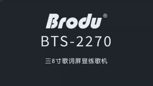 BTS-2270 Bluetooth Speaker  Karaoke Speaker Party Outdoor Speaker RGB High Power Wireless Portable Speaker