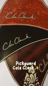 PICKGUARD BESKEMER GITAR COLE CLARK