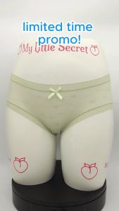 MY LITTLE SECRET Ivy Kiss Cooling Comfortable Ice Silk Transparent Underwear Briefs Panties for Woman Girl Seluar Dalam Spender Perempuan Wanita P32