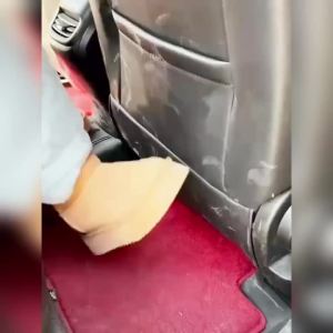 Car leather cleaning paste cares for and cleans car seat leather interior stains renewal and maintenance cream