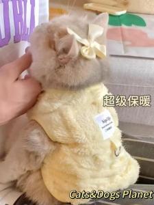 Mint Thickened Cat Clothes Small Dogs Autumn And Winter Anti Shedding Golden Gradient Doll Pet Cute Vest Warm Princess Style