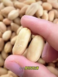 Deoiled Five-Spice Flavored Roasted Peanuts