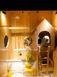 Toy Climbing Ladder for Birds Small Parrot Cage Ladder Cloud Ladder Slide Ladder Climbing Frame Pet Bird Entertainment Equipment