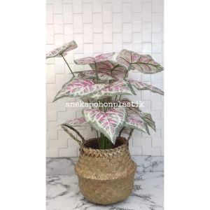 Pohon Hias Tanaman Daun Calladium Pink X18 Semilatex Artificial Cover Purun Belly Hiasan Ruangan Aesthetic