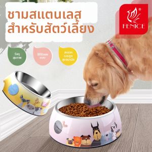 Fenice | Anti-Spill Dual Pet Food and Water Bowl Stainless Steel Large