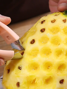 WE 4295 = 菠萝去蒂器 Pineapple Stem Remover #RandomColor Ready stock in Malaysia