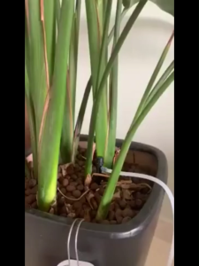 Automatic Watering Dropper Pump Controller Flowers Plants Home Drip Irrigation Device 2/4/8/12 Head Greenhouse Watering Timer