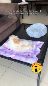 Pet Bed Elevated Stainless Steel Pet Cot Washable Dog Beds Moisture-Resistant Breathable Mesh
