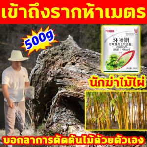 ไม่เป็นอันตรายต่อดิน ยากำจัดต้นไม้ เป็นสารฆ่าเชื้อราที่ปลอดภัยและเป็นมิตรต่อสิ่งแวดล้อม ยาฆ่าต้นไม้ใหญ แค่1ซองป่าไผ่ให้เป็นพื้นที่รกร้าง ผงกำจัดต้นไผ่ ตรงไปที่ราก สารกำจัดกอไผ่ บอกลาการตัดต้นไม้ด้วยตนเอง ผงกำจัดกอไผ่ สูตรเข้มข้น ผงกำจัดต้นไผ่