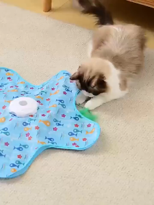 Interactive Cat Toy Moving Electric Cat Toy with Rotating Mouse Hide and Seek Pet Playground