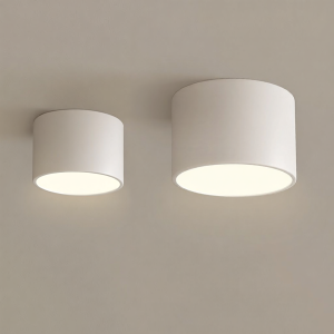 Minimalist Small LED Ceiling Light