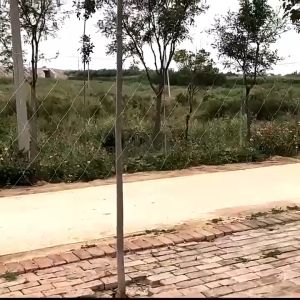 Prakan ตาข่ายปลูกผัก โครงไม้เลื้อย ค้างไม้เลื้อย ตาข่ายพลาสติก ตะข่ายเอ็น ต้นไม้เลื้อย อวนแตง หลักไม้เลื้อย ตาข่ายปลูกผัก