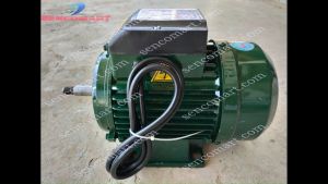 Motor động cơ điện 1 pha 750w 2900v/p dây đồng 100%