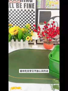 Các loại hũ chậu trồng giá đỗ khay trồng giá đỗ ươm cây con khay nảy mầm máy trồng giá đỗ không cần nước khay chuyên dụng cho giá đỗ hẹ và đậu nành.