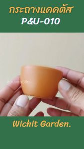 กระถาง PU010 ขนาด 2.5 นิ้ว คละสี 100 ใบ กระถางกระบองเพชร กระถางปลูกต้นไม้ เนื้อพลาสติกแน่นหนาทนทาน กระถางแคคตัส กระถางกระบองเพชร