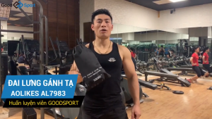 Đai lưng cứng tập gym gánh tạ AOLIKES A-7983 chuyên nghiệp sport waist support
