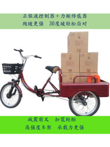 Electric Assisted Tricycle Elderly Pedal Step Car Human Power Three-Wheel Bicycle Self-Balancing Transport Vehicle