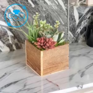 Chậu gỗ Vuông Trồng Cây  Chậu Gỗ Trụ Vuông Để Bàn  Hộp Gỗ Vuông Đựng Quà Trang Trí Decor Vuông 12 x 12 cm