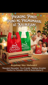 Wholesale Christmas Eco bag 30/50pcs Bundle | Reusable Sando Gift Bags for Giveaways Wrapping & Groceries