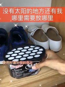 Dehumidifier Box with Activated Carbon Dehumidify Eliminate Odor Clean Air Good Smell 500 800ml HH101