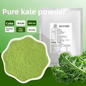 Pure Dragon Fruit Powder Baking Edible Ingredients Fruit Powder Instant Pastries Cake Milk Tea Shop Beverage Coloring Vegetable Fruit Powder