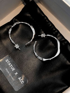 Statue Brand French Style Alloy Geometric Pattern Earrings for Women Circle Design Luxury Fashion Jewelry Silver Plated