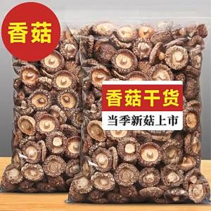 High Expansion Meaty Pearl Mushroom