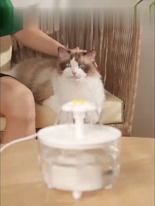 【รับประกัน 1 ปี】น้ำพุสุนัข น้ำพุแมวไร้สายอัตโนมัติ ถังใสทั้งหมด วัสดุที่เชื่อถือได้ เป็นมิตรต่อสิ่งแวดล้อมและไม่มีกลิ่น การกรองที่ลึก การทำให้น้ำอ่อนลง ปั๊มน้ำเงียบ ถังน้ำพุ น้ำพุสัตว์เลี้ยงอัตโนมัติ