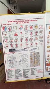 Tranh 32 Đồ Hình Phản Chiếu - Tranh 68 Đồ Hình Đồng Ứng Diện Chẩn - Dụng Cụ Diện Chẩn
