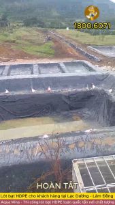 Bạt lót ao hồ 8m x 6m dày 0.5mm bảo hành 5 năm