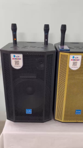 Loa kéo bluetooth chính hãng AZPRO AZ-D1508Bass 40-3 đường tiếng mẫu mới mạch 12 núm chỉnh Reverb