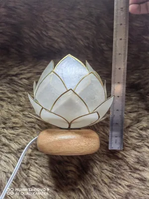 capiz lamp