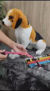 Tali Leher Hewan LED KLD2 Kalung Anjing Kucing Bisa Cas Ulang / LED Pet Collar Rechargeable