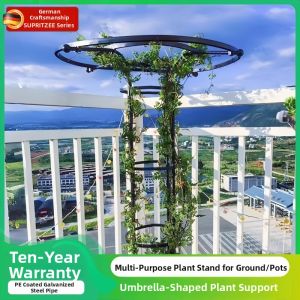 Outdoor Garden Plant Support Frame Steel Pipe Trellis