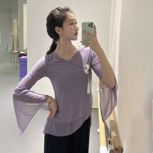 Classical Dancing Dress Elegant Exercise Clothing Womens Body Charm Costume Chinese Classic Dance Ethnic Dance Net Dress Body Training Performance Costume