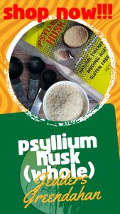 Greendahan Psyllium Husk Whole Organic 500g - Fiber Rich Supplement