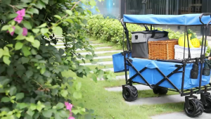 Luxury Big Tyre Outdoor Trolley Wagon Canopy Foldable Cart Beach Shopping Camping Cart