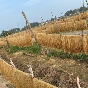 Sweet Potato Powder Pieces of 2.50kg Pieces of Jiagou Brand Yimeng Mountains of Shandong Province Specialty Sweet Potato Powder Starch