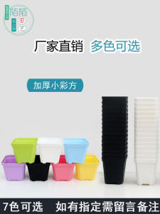 Plastic Succulent Flower Pot Colorful Thickened Small Colorful Square Large Colorful Square Small Black Square Package Mini Plant