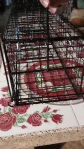 กรงดักพังพอน ดักอีเห็น และสัตว์อื่นๆ สลักแบบเหยีบ มีช่องใส่เหยื่อตรงกลาง เข้าได้ 2 ทาง กว้าง 25 เซน สูง 25 เซน ยาว 130 เซน กรงแข็งแรงใช้งานง่ายไดีผลดี