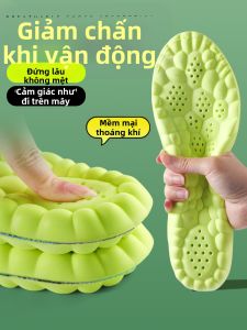 JIFANPAUL | Đệm Giày Thấm Mồ Hôi Chống Hôi Thở Dễ Chịu
