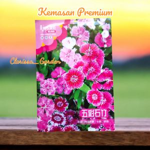 (KEMASAN PREMIUM) BIJI | BENIH BUNGA DIANTHUS MIX WARNA ( isi -+400 butir)