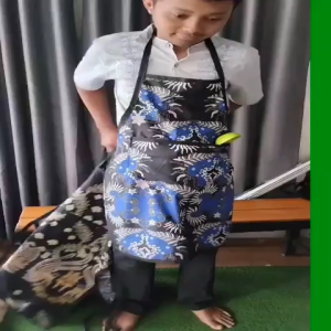 CELEMEK MASAK APRON MASAK MOTIF BATIK BAHAN KATUN