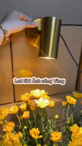 Đèn Led Rọi Tranh Ảnh Rọi Gương Trang Trí Trong Nhà 5W 220V PT8625 Ngọc Thắng