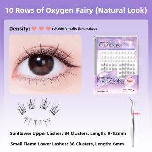 OEIEZ | Natural Realistic Glue-Free Lashes for Beginners