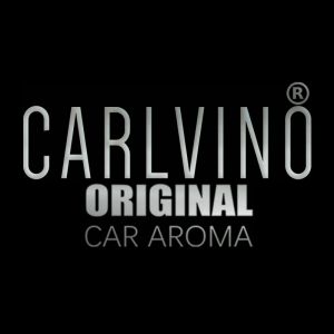 Car Diffuser 100ml Essential Oil Refill For All Types Of Atomization Car Diffuser Use(SG Ready Stocks)