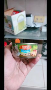 Introduction to Pet Essentials for Cats