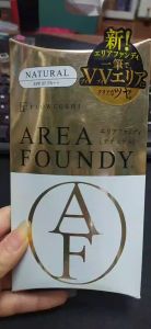 Kem che khuyết điểm hai đầu Flow Fushi Area Foundy SPF27 PA++ - Nhật Bản