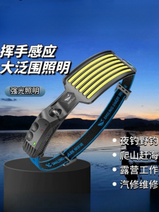 High Brightness Strong Light Sensing Fishing Headlamp Head Mounted Night Fishing Wild Fishing Special Long Endurance Rechargeable Fishing Sensor Light