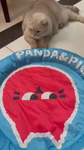 P&P แผ่นเจลเย็นแมว ที่นอนเจลเย็น ที่นอนสัตว์เลี้ยง เบาะนอนเย็น ที่นอนสุนัข ที่นอนแมว การออกแบบรูปแบบสองด้านที่ไม่ซ้ำกัน แผ่นเจลเย็นสุนัข แมว ต้องแช่เย็นก่อนใช้งาน เสื่อเล่นน้ำทารกเป่าลม